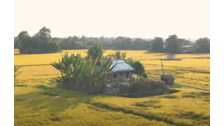 Cảnh đẹp miệt vườn miền Tây - Việt Nam